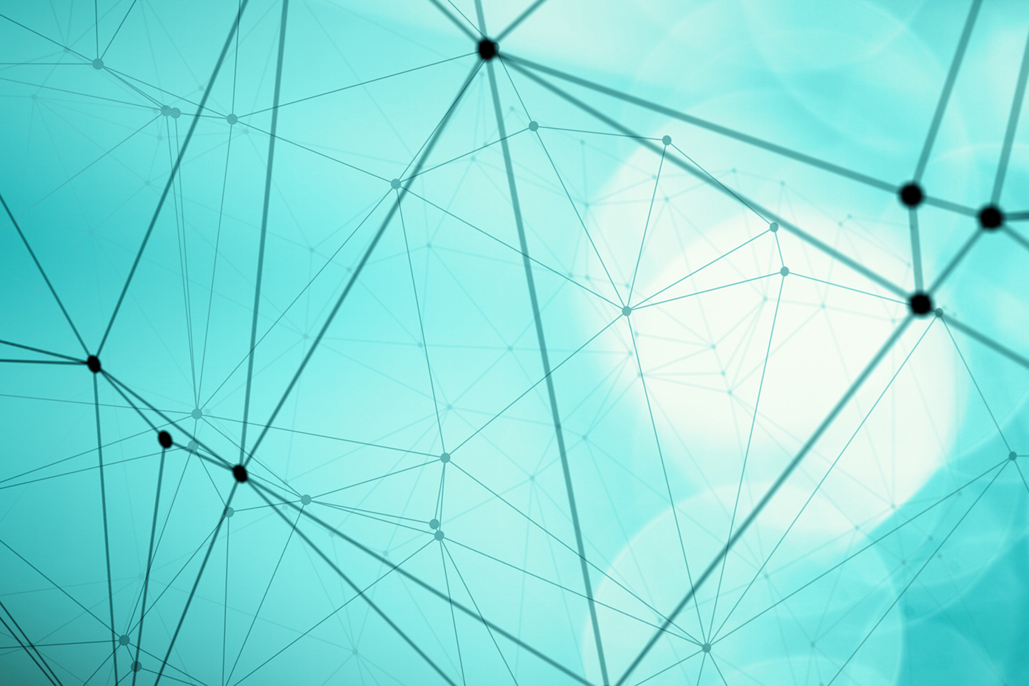 How Best to Manage Enterprise Data