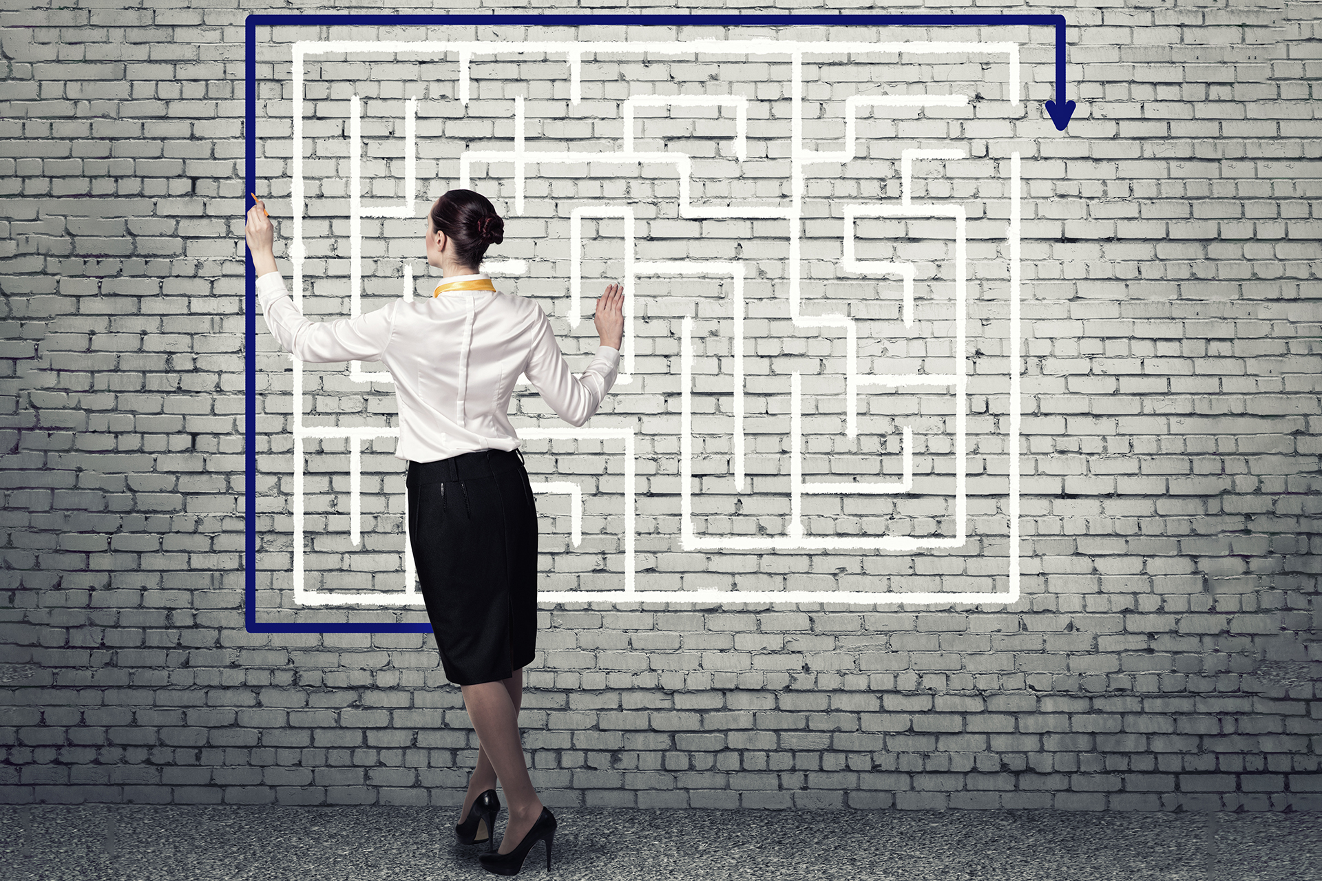 Select the Business System to Study