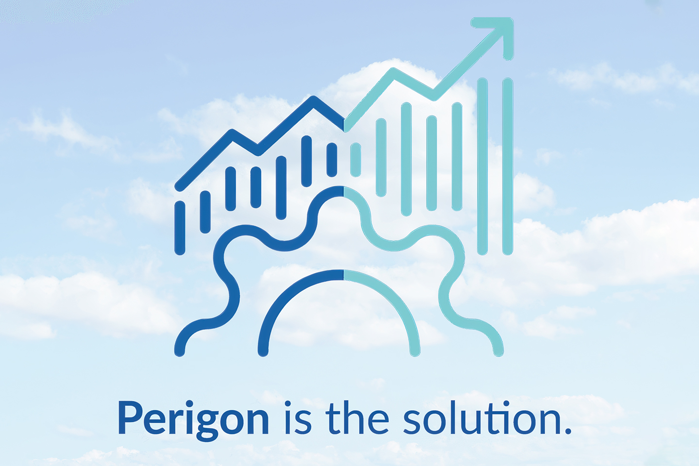 Process Mapping for Process Improvement: How to Transform Your Organization with the Perigon® Method